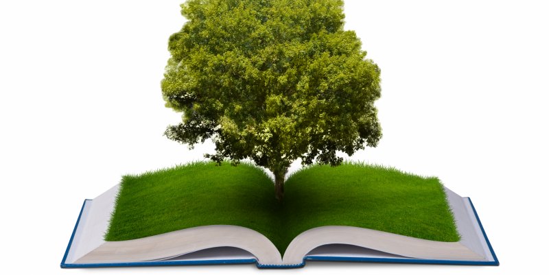 Curso técnico - meio ambiente