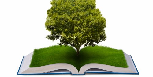 Curso técnico - meio ambiente