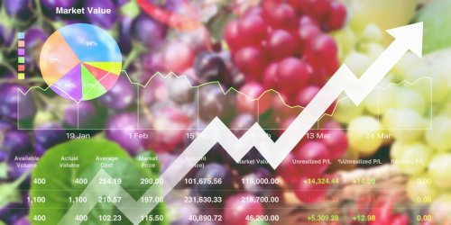 Sistemas de gestão de segurança de alimentos no enfrentamento à COVID-19 Sistemas de gestão de segurança de alimentos no enfrentamento à COVID-19